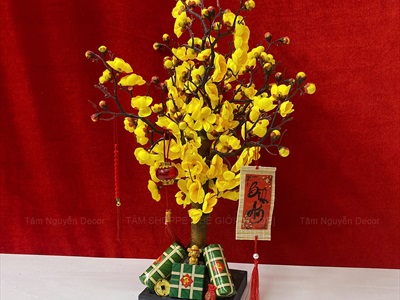 Cây Mai Đào thân gỗ để bàn [Tỉ mỉ - Nhẹ] C50cm CAYCANH-TET-01